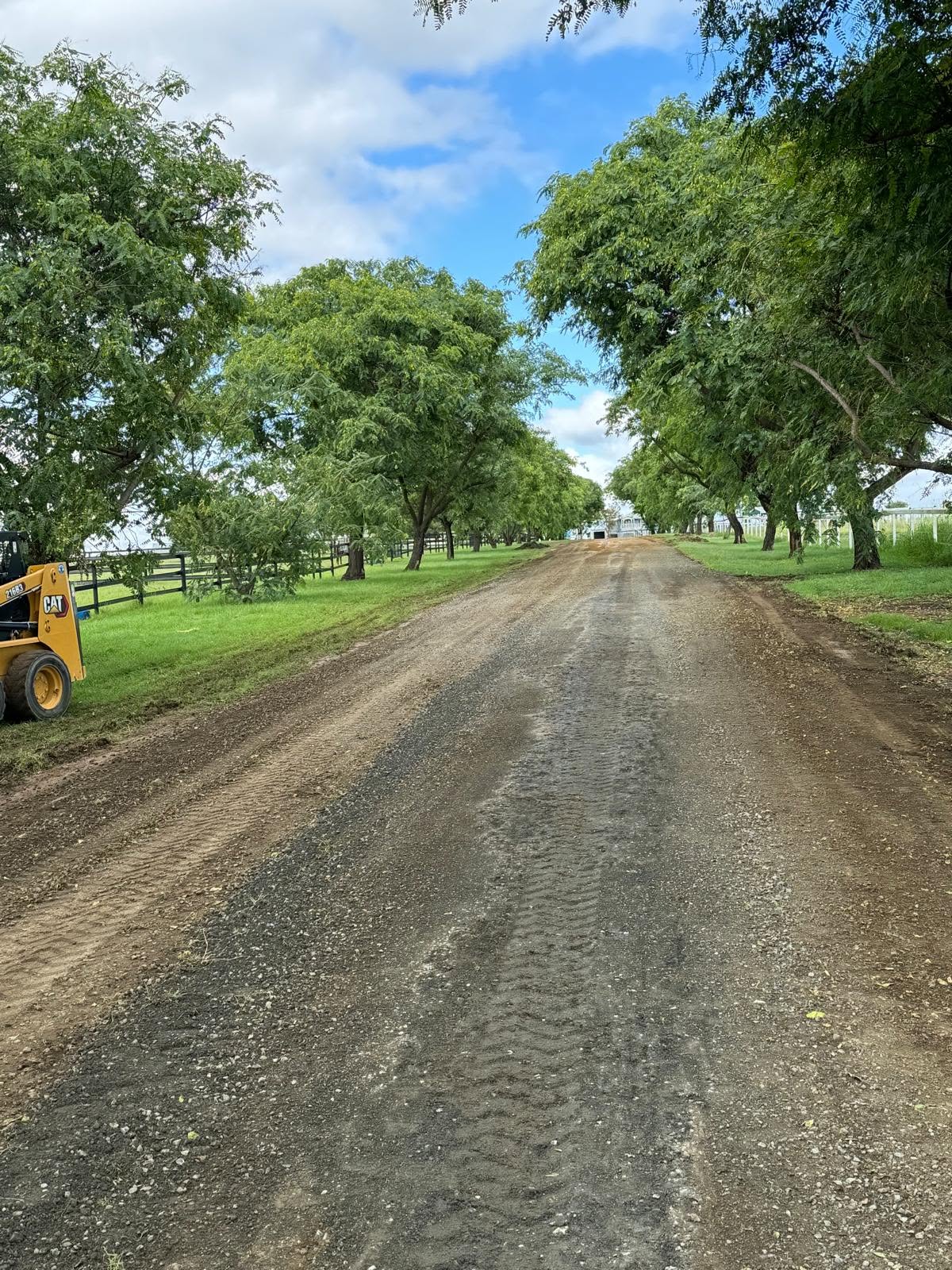 Excavation & Site Preparation