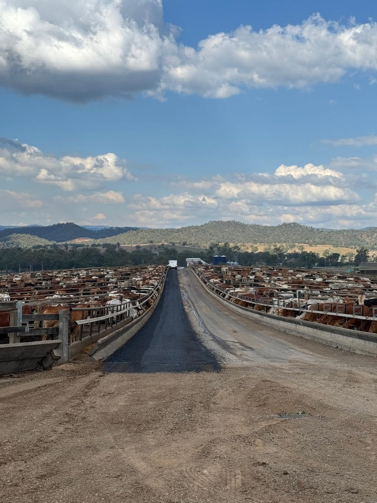 Asphalt Road Construction